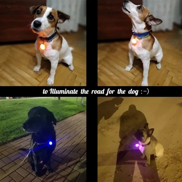 Led Dog Collar Light