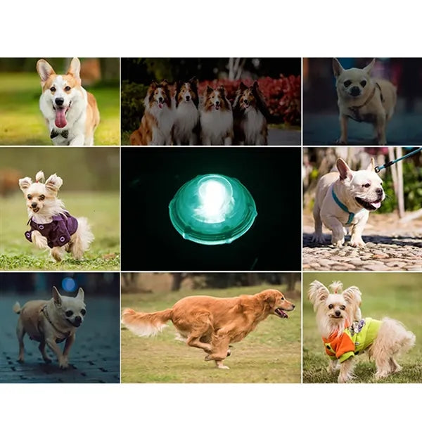 Led Dog Collar Light