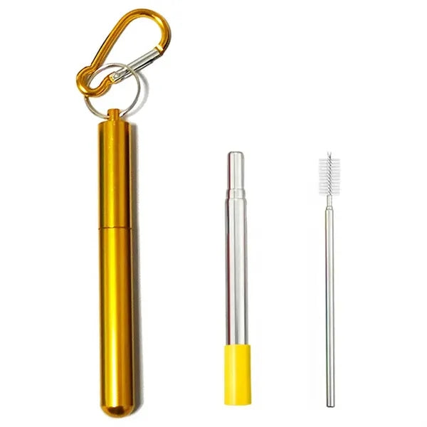 Stainless Steel Telescopic Straw