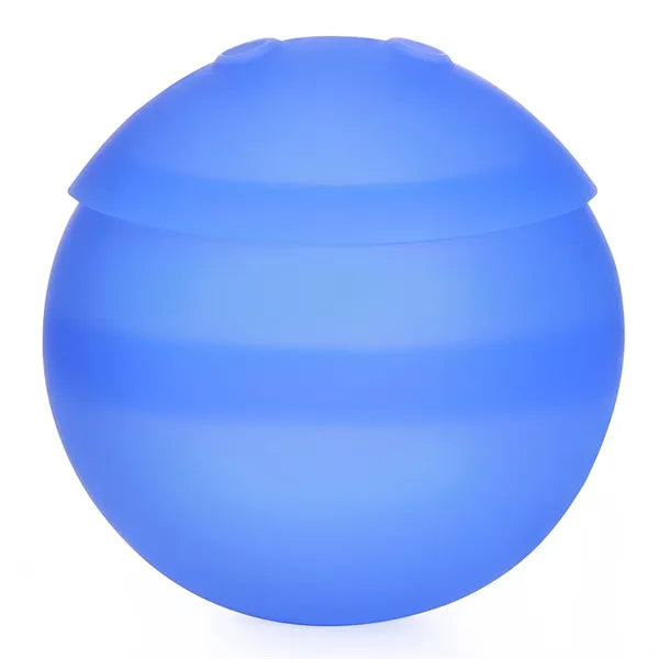 Water Polo Toy