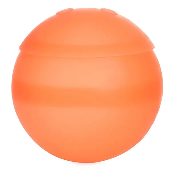 Water Polo Toy