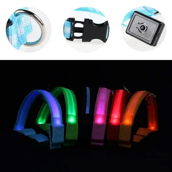 Nylon LED Dog Pet Collar Light up Flashing High Visibility