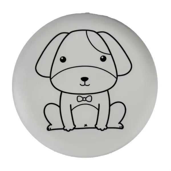 DIY Painting Flying Disc