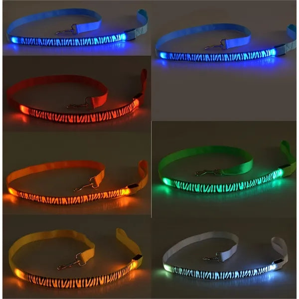Led Dog Leash