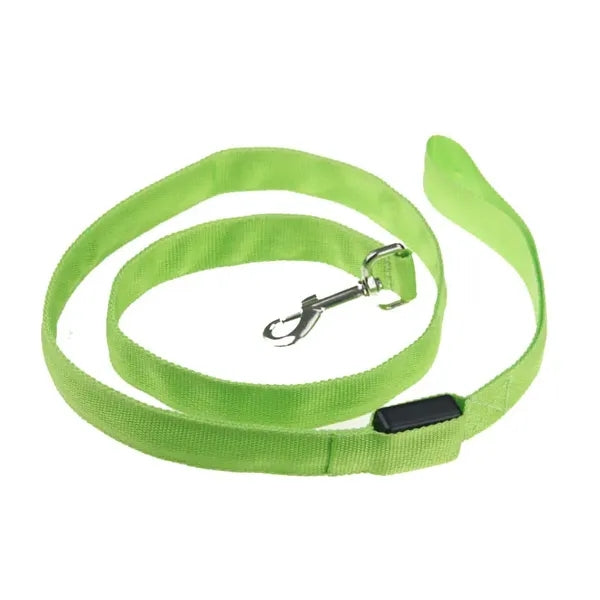 Led Dog Leash
