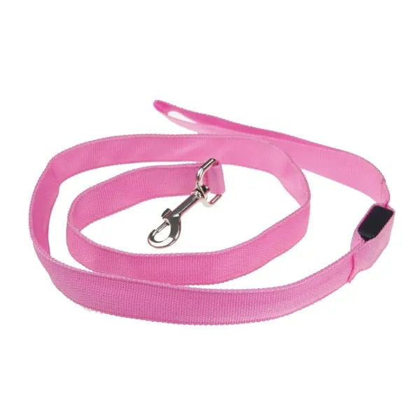 Led Dog Leash