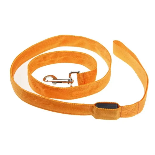 Led Dog Leash