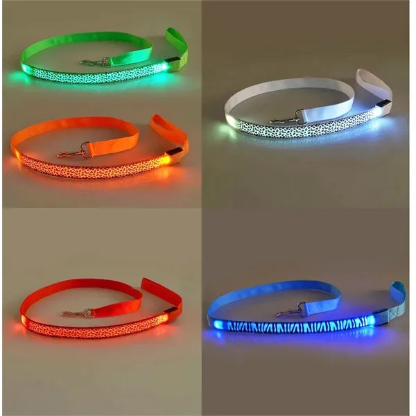 Led Dog Leash