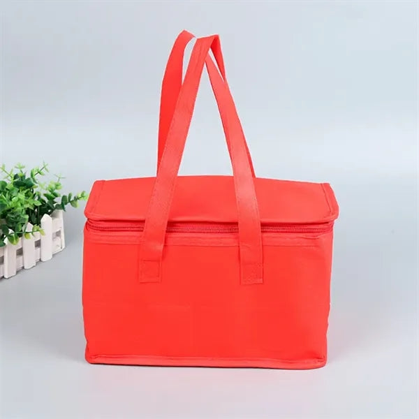 Picnic Non Woven Cooler Insulated Bag with Zipper