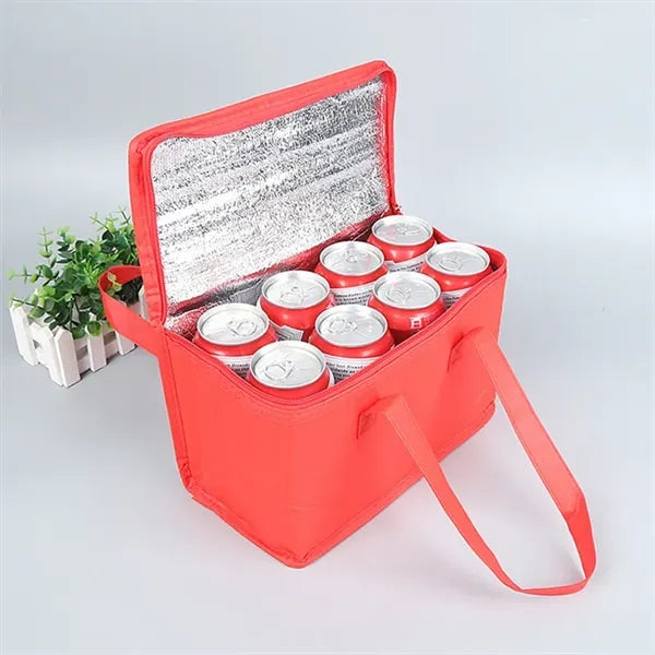 Picnic Non Woven Cooler Insulated Bag with Zipper