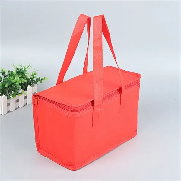 Picnic Non Woven Cooler Insulated Bag with Zipper