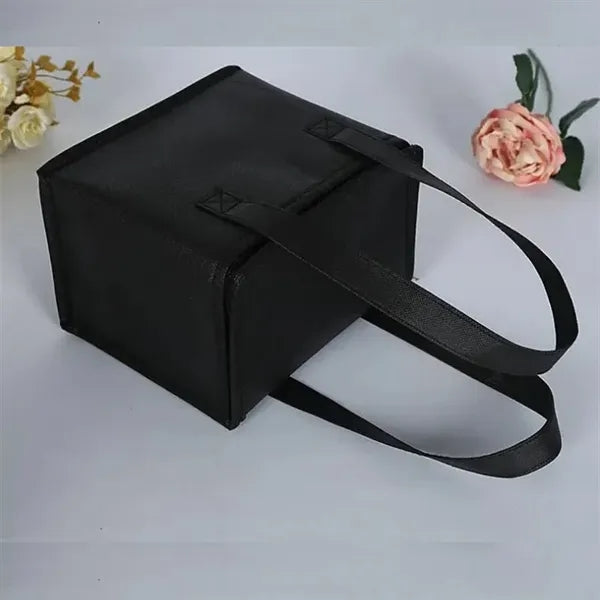 Picnic Non Woven Cooler Insulated Bag with Zipper