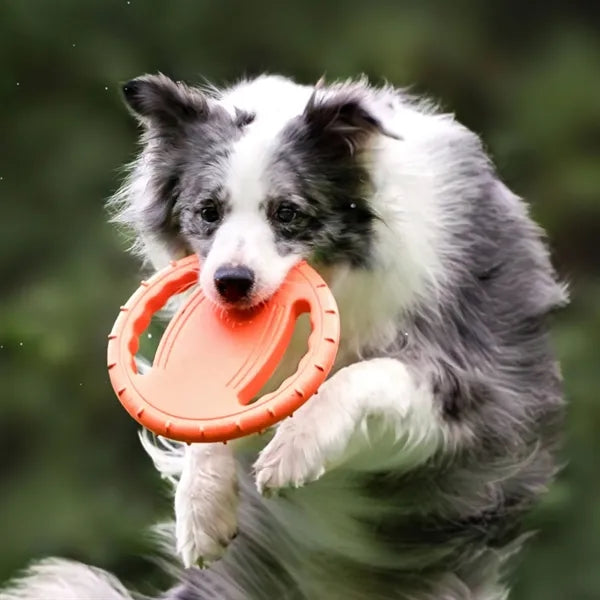 Durable Rubber Flying Disc Dog Toy
