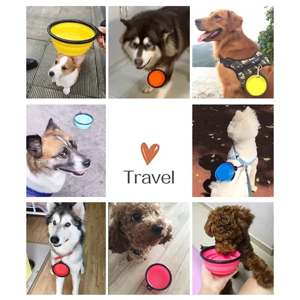 Collapsible Silicone Dog Bowl