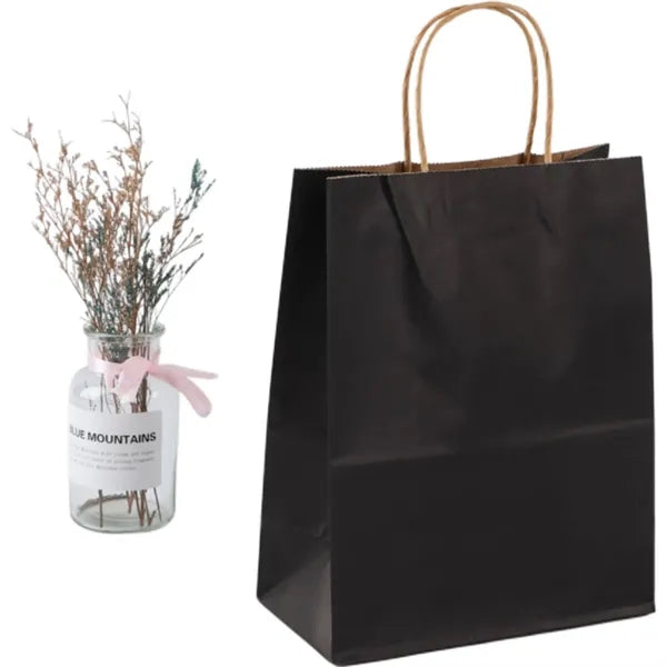 Coloured Paper Bags with Handle