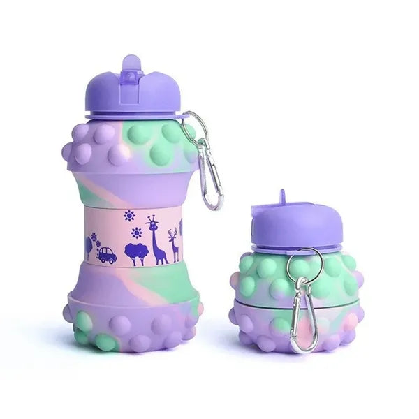 Collapsible Sports Water Bottle