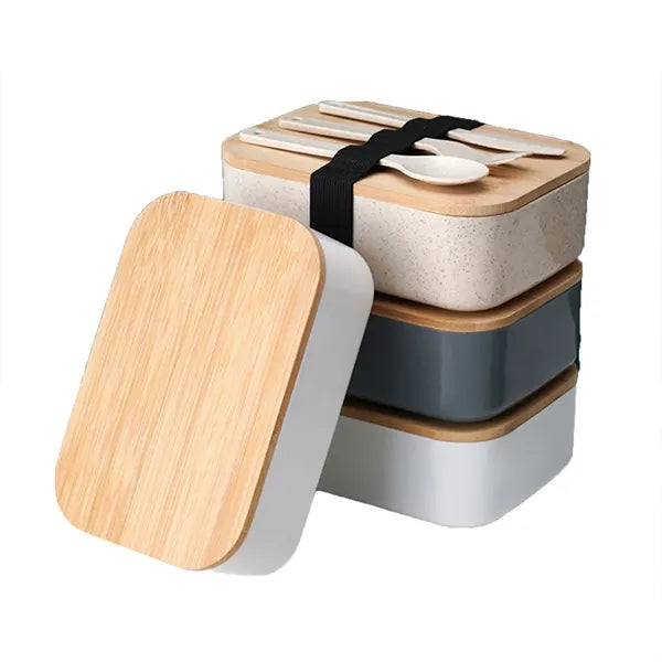 Portable Double-Layer Eco-Friendly Lunch Box