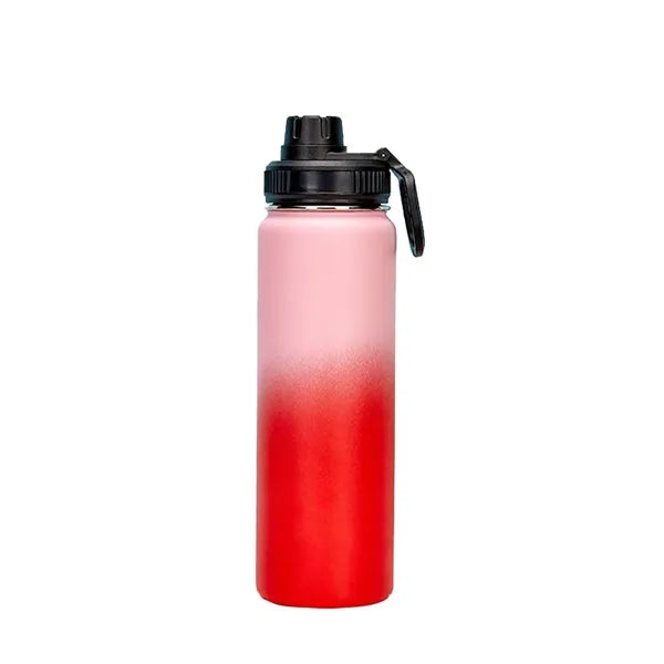 20oz Stainless Steel Insulated Water Bottle