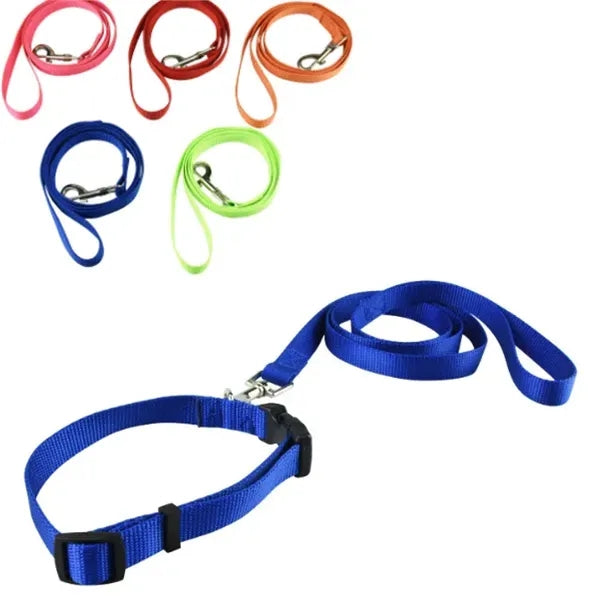 Stretchy Pet Leash w/ Collar