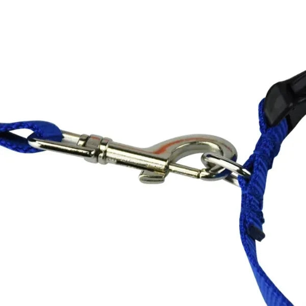 Stretchy Pet Leash w/ Collar