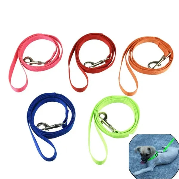 Stretchy Pet Leash w/ Collar