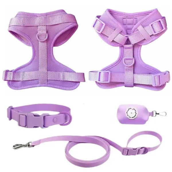 Pet Training Leash & Poop Bag Dispenser Set