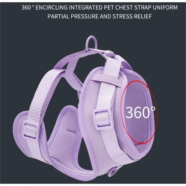 Pet Training Leash & Poop Bag Dispenser Set