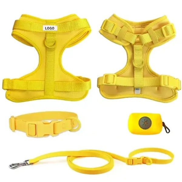Pet Training Leash & Poop Bag Dispenser Set