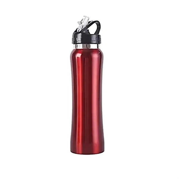 25OZ Stainless Steel Bottles