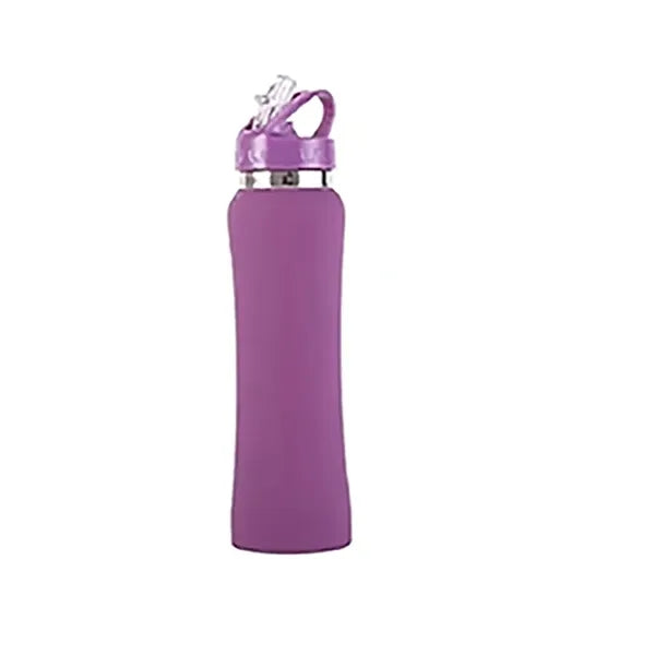 25OZ Stainless Steel Bottles