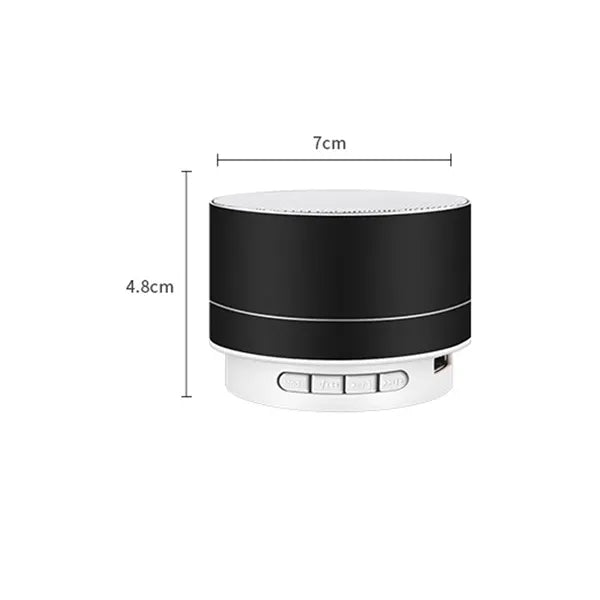 Outdoor Speaker