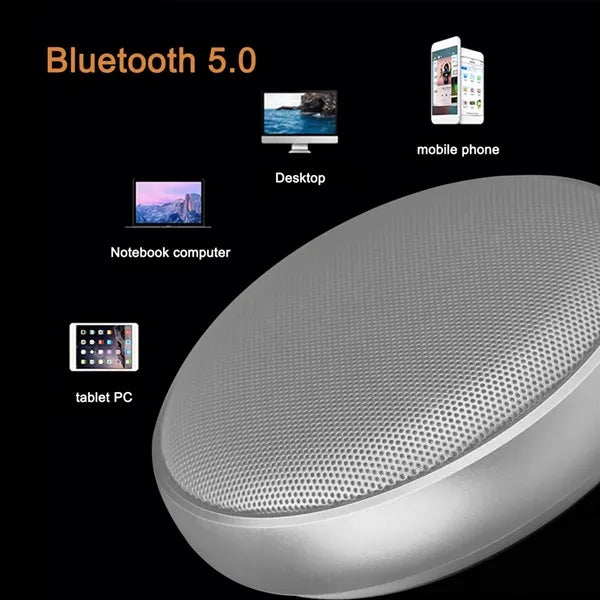 Portable Speaker