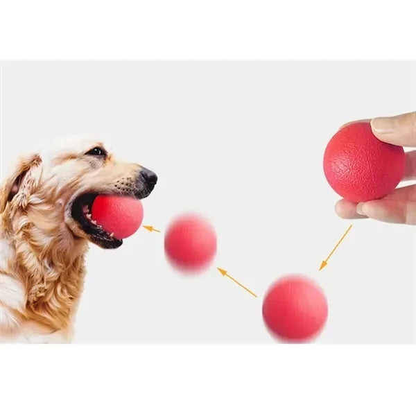 Hard Rubber Ball for Dogs