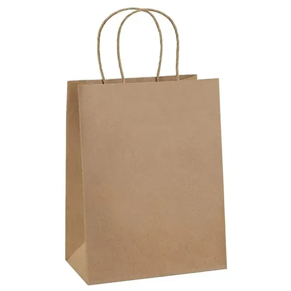 Paper Gift Bags with Handles Bulk