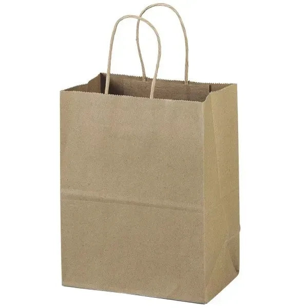 Recycled Natural Paper Bag