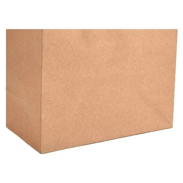 Paper Gift Bags with Handles Bulk
