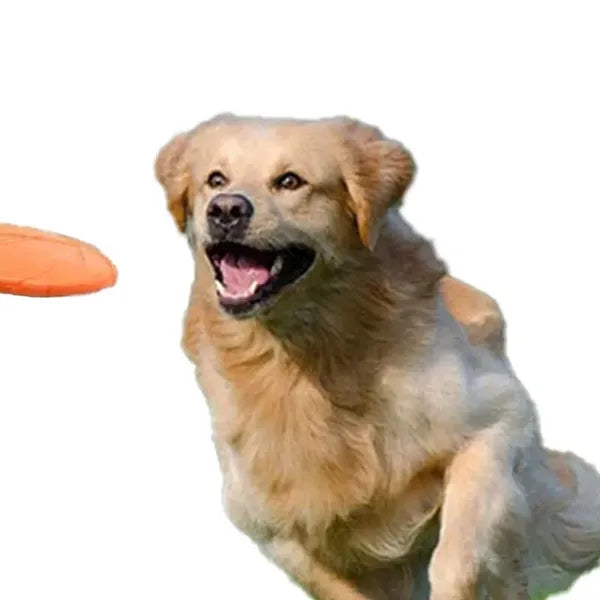 Nature Rubber Floating Saucer Flying Disc Dog Toys