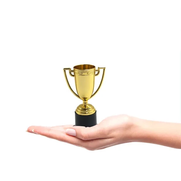 Mini Trophies For Awards