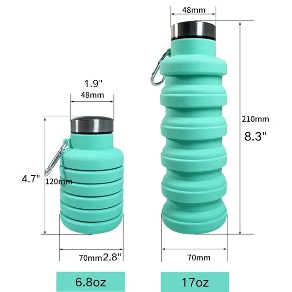 Silicone Collapsible Water Bottle