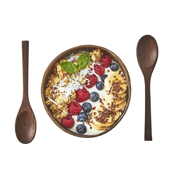 Polished Coconut Shell Salad Bowls