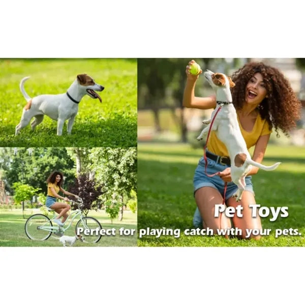 Training Tennis Ball