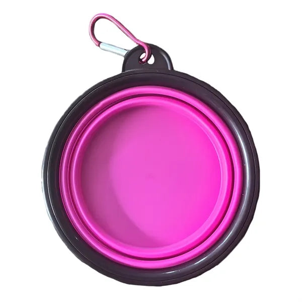 Small Collapsible Silicone Dog Bowl