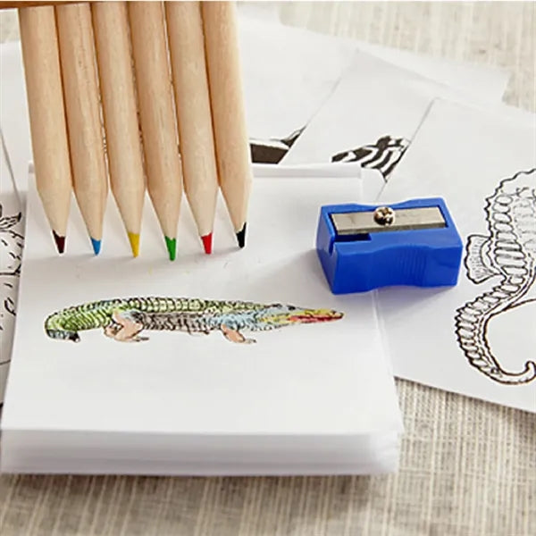 12 Pieces Colored Pencils Set