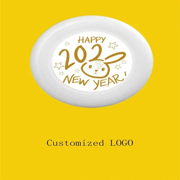 10.8 Inch 175G Professional Flying Disc