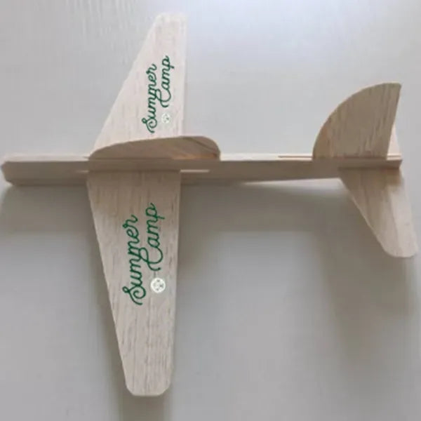 Exhibition Type Wing Wooden flyer