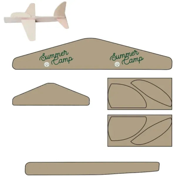 Exhibition Type Wing Wooden flyer