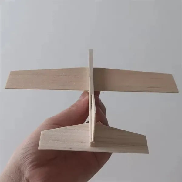 Exhibition Type Wing Wooden flyer