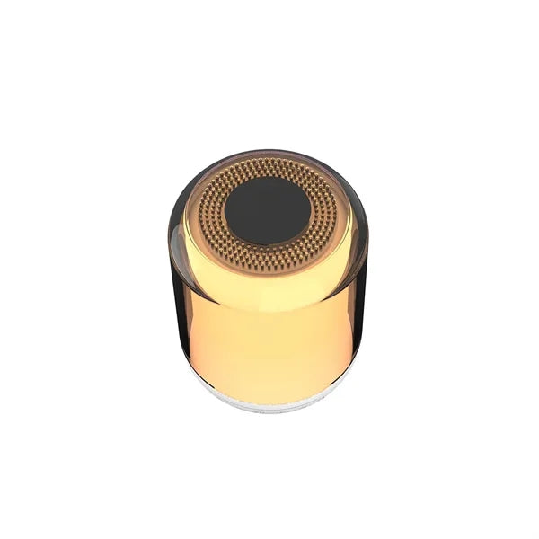 Portable Bluetooth Speaker