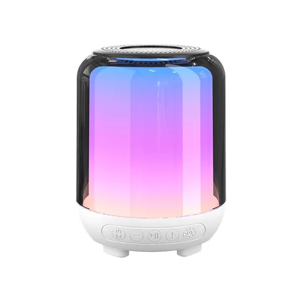 Portable Bluetooth Speaker