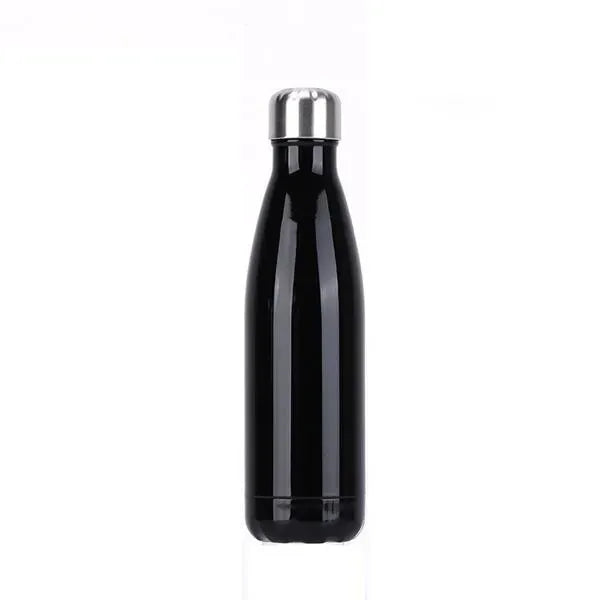 Stainless Steel 17oz Double Wall Insulated Water Bottles
